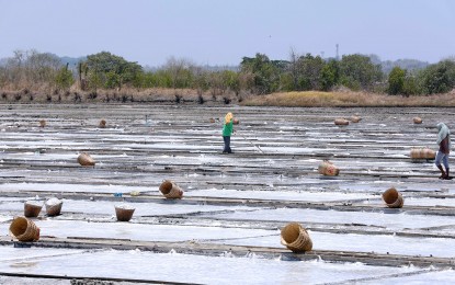 <p><strong>REVIVING THE LOCAL SALT INDUSTRY.</strong> A worker scatters salt for drying in Barangay Banog Norte, Bani, Pangasinan in this photo taken on April 29, 2023. Camarines Sur Rep. Luis Raymund Villafuerte Jr. said on Thursday (Sept. 14, 2023) that the proposed Philippine Salt Industry Development Act would provide salt farmers and producers easy access to financial and technical assistance, allowing them to revitalize their once-thriving industry. <em>(PNA photo by Joey O. Razon)</em></p>