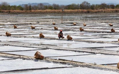 House passes salt industry dev’t, agri info system bills