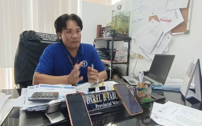 <p><strong>VALIDATION</strong>. Provincial veterinarian Dr. Darel Tabuada says 28 backyard farmers in Iloilo passed the validation for the African swine fever (ASF) recovery program. In an interview on Thursday (Sept. 28, 2023), he said that to qualify for the program, the backyard farms need to undergo thorough cleaning and disinfection, and their pigpens must have had no ASF cases for the past 40 days. <em>(PNA file photo by PGLena)</em></p>