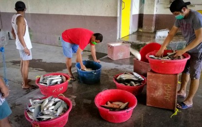 <p><strong>BANGUS PRODUCTION.</strong> The Department of Agriculture-Bureau of Fisheries and Aquatic Resources Central Luzon (DA-BFAR 3) is set to implement a program that will boost the bangus (milkfish) industry in the region. An initial discussion was conducted by fisherfolk groups as well as representatives from the local government units in the provinces of Aurora, Bataan, Bulacan, and Zambales with regard to concerns and plans for the implementation of the Bangus Development Program.<em> (File photo by BFAR-Central Luzon)</em></p>