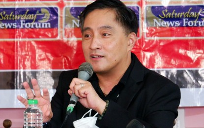 <p>Department of Foreign Affairs (DFA) Assistant Secretary Paul Raymund Cortes <em>(PNA file photo)</em></p>