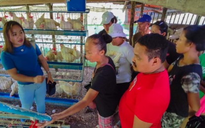 <p><strong>EGG PRODUCTION.</strong> At least 80 farmers from five different associations from Surigao del Norte have undergone training and farm exposure on egg production from May 9-15, 2023. Each of the associations will receive PHP583,350 project grants for layer or egg production from the Department of Agriculture in the Caraga Region through the Special Area for Agricultural Development program.<em> (Photo courtesy of DA-SAAD Program)</em></p>