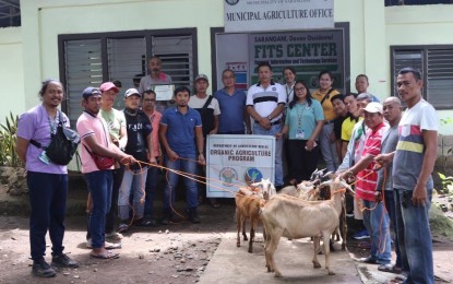 <p><strong>GOAT PRODUCTION.</strong> The Department of Agriculture in Davao Region (DA-11) turned over six heads of upgraded native goats to the Balut Tricycle Operators and Drivers Association (BATODA) in Sarangani, Davao Occidental province, on May 13, 2023. The goats will be raised by the group’s 88 farmer-members for meat production. <em>(Photo courtesy DA-11)</em></p>
