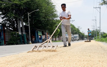 <p><strong>RICE SUPPLY</strong>. Farmers make the most of the hot weather by drying rice grains under the sun in Pulilan, Bulacan, on May 15, 2023. Finance Secretary Benjamin Diokno said El Niño will not likely have a significant impact on local food production, especially for rice and corn. <em>(PNA photo by Yancy Lim)</em></p>