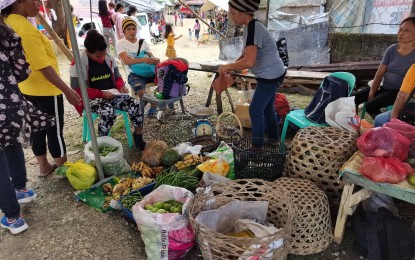 <p><strong>FARM PRODUCE.</strong> The Department of Trade and Industry in Negros Oriental province is introducing an online application for farmers and producers from conflict areas that will connect them directly to businesses. The project has received PHP500,000 funding from the provincial government. <em>(PNA file photo by JFP)</em></p>
