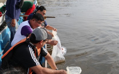 <p><strong>FINGERLINGS DISPERSAL</strong>. The Bureau of Fisheries and Aquatic Resources in Central Luzon led by regional director Wilfredo Cruz (center), together with several local officials and fisherfolk, release some 50,000 tilapia fingerlings and 3,000 post-larvae ulang (freshwater shrimp) into the Guagua-Pasak River in Guagua town, Pampanga province on Tuesday (May 16, 2023). The activity is part of continuing efforts to revitalize the aquaculture industry through the Balik Sigla sa Ilog at Lawa (BASIL) program. <em>(Photo courtesy of BFAR Central Luzon)</em></p>