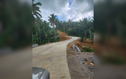 <p><strong>RURAL ROAD.</strong> A portion of Tinambacan farm-to-market road in Jaro, Leyte. It is the first foreign-funded farm-to-market road completed under the Rural Agro-Enterprise Partnership for Inclusive Development and Growth project in Jaro, Leyte. <em>(Photo courtesy of Viguz Construction)</em></p>