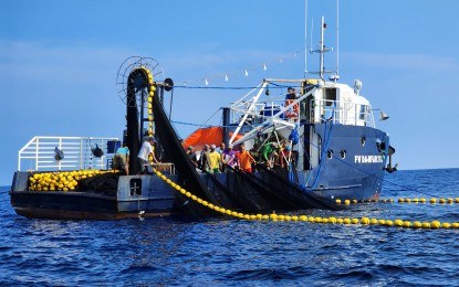 <p><strong>MORE CATCH</strong>. The new fishing vessel turned over by the Bureau of Fisheries and Aquatic Resources (BFAR) to members of the Northern Samar Pacific Towns Fishermen’s Cooperative. The vessel made its first voyage harvesting 1.5 tons of high-value species. <em>(Photo courtesy of Mapanas, Northern Samar local government)</em></p>