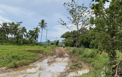 <p><strong>POOR ACCESS</strong>. A muddy road that forms part of the highway that will link Maslog town to Jipapad town in Eastern Samar. The construction of road costing PHP98.78 million from Maslog town to Jipapad town is expected to bring economic prosperity and the end insurgency in Eastern Samar’s remote communities. <em>(Photo courtesy of Radyo Pilipinas Borongan)</em></p>
<p> </p>