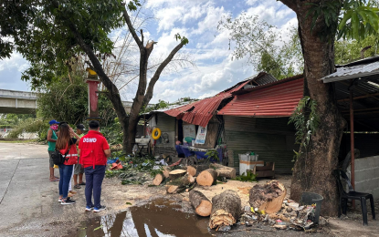 <p><strong>TYPHOON IMPACT.</strong> A disaster team of the Department of Social Welfare and Development (DSWD) Field Office in Region 1 inspects a house damaged by a fallen tree due to Typhoon Betty in this undated photo. The DSWD provided PHP10,000 assistance to a family in Laoac, Pangasinan whose house was totally damaged due to fallen tree. <em>(Photo from DSWD website)</em></p>