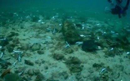 <p><strong>DYNAMITE FISHING</strong>. A screengrab from the video of Dr. Jeffrey Lim, a diver, shows a school of sardines lying dead on the seabed at the waters of Lapu-Lapu City, Cebu. Mayor Junard Chan on Wednesday (May 31, 2023) vowed to arrest and prosecute fishermen who are into illegal forms of fishing, especially those who are using dynamite. <em>(Screengrab from Dr. Jeffrey Lim's FB video)</em></p>