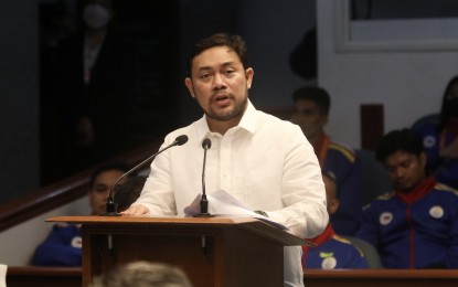 <p>Senator Mark VIllar <em>(File photo)</em></p>