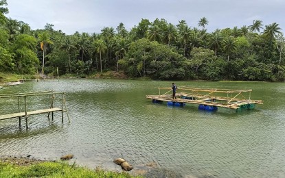 <p><strong>FISH PRODUCTION BOOST.</strong> The newly rehabilitated Abuyog Dam in Sorsogon City which is seen to help boost local fish production in this undated photo. The Bureau of Fisheries and Aquatic Resources funded the rehabilitation worth PHP314,000 through the BASIL (Balik Sigla sa Ilog at Lawa) program. <em>(Photo courtesy of BFAR-Bicol)</em></p>