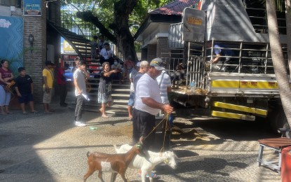 <p><strong>GOAT DISTRIBUTION.</strong>  Some of the beneficiaries line up to receive their goat at the office of Ilocos Norte First District Representative Ferdinand Alexander Marcos on May 18, 2023. Goat raising is being encouraged in the province because it requires minimal capital and in demand for local meat consumption. <em>(Photo by Leilanie Adriano)</em></p>