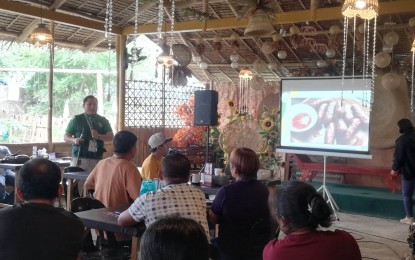 <p><strong>ASSISTANCE</strong>. Dr. Jonic Natividad, Department of Agriculture Western Visayas Regional Focal Person on African Swine Fever and Other Animal Diseases Task Force, solicits the help of hog raisers in maintaining border checkpoints in Antique during a forum at the “Durog ni Isko” restaurant in the municipality of Sibalom on Friday (June 2, 2023). Antique is the only province in the region that is free from ASF. (<em>PNA photo by Annabel Consuelo J. Petinglay</em>)</p>