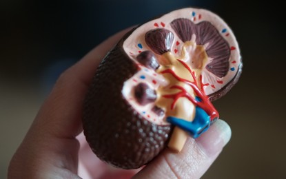 7M Filipinos have chronic kidney disease as of 2021