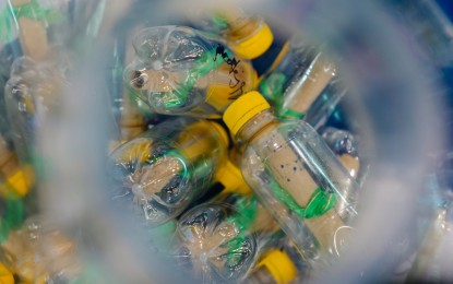 Bataan firms to comply with EPR law on plastic packaging waste
