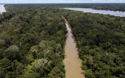New plan to stop Amazon deforestation by 2030 bared