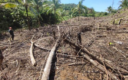 <p><strong>DESTROYED.</strong> A portion of land with naturally grown trees burned down by new settlers in upland Canyupay village in Borongan City, Eastern Samar in this May 16, 2023 photo. A Roman Catholic bishop in Eastern Samar has called on the government to hire more forest rangers to protect the remaining forest covers on the island. <em>(Photo courtesy of Borongan City government)</em></p>