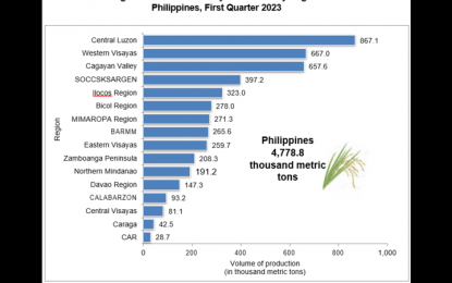 C. Luzon remains PH's top palay producer in Q1