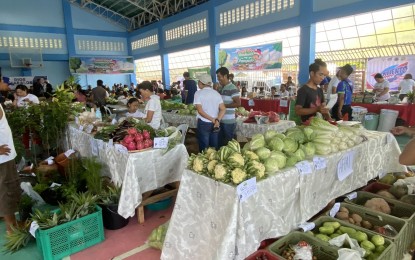 <p><strong>LOWER-PRICED GOODS</strong>. Various agricultural products as well as non-food items are on sale during the Kadiwa ng Pangulo of the Department of Agriculture (DA) and Diskwento Caravan of the Department of Trade and Industry (DTI) for Mayon evacuees and other residents of Tabaco City on Thursday (June 22, 2023). The activity offers lower-priced commodities to consumers and provides farmers, fisherfolk, and micro, small and medium enterprises with a platform to sell their products. <em>(PNA photo by Connie Calipay)</em></p>