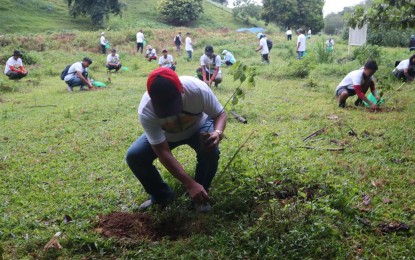 <p><strong>REGREENING. </strong> A thousand volunteers join the Arbor Day celebration at the Fuyot Springs National Park in Barangay Santa Victoria here on Sunday (June 25). An environment official urged the youth to continue forest protection. <em>(PNA photo by Villamor Visaya Jr.)</em></p>