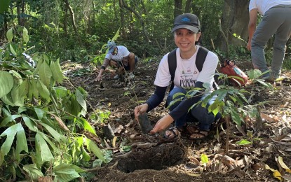 <p><strong>ROOTS OF LIFE.</strong> One thousand seedlings of narra and mahogany trees have been planted in Mount Maculot in Cuenca, Batangas on Saturday. Town officials, journalists and local celebrities were among those who took part in the environmantal effort. <em>(Photo by: Pot Chavez)</em></p>
