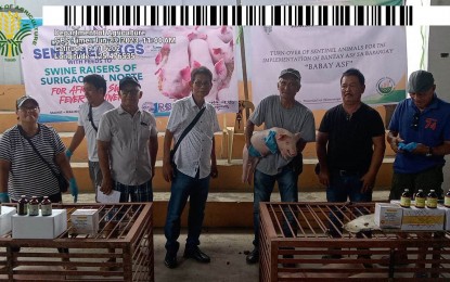 <p><strong>SENTINELLING PROGRAM.</strong> The Department of Agriculture in the Caraga Region continues to repopulate the hog industry ravaged by the African swine fever through the sentinelling program. The program has a total allocation of PHP5.2 million and PHP2.1 million for sentinel pigs and feeds, respectively.<em> (Photo courtesy of DA-13)</em></p>