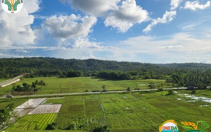 <p><strong>TO BE REVITALIZED.</strong> A rice field in Abuyog, Leyte. The Department of Agriculture (DA) on Monday (June 26, 2023) identified 10 more farming towns in five provinces of Eastern Visayas region to be placed under a soil rejuvenation program, employing the best-bet soil, water, crop, and nutrient management options to increase yield. <em>(Photo courtesy of DA)</em></p>