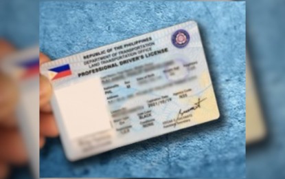 <p>Driver's license card <em>(Photo courtesy of LTO)</em></p>