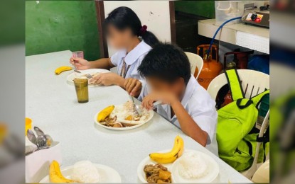Private sector help eyed in nutrition programs for children