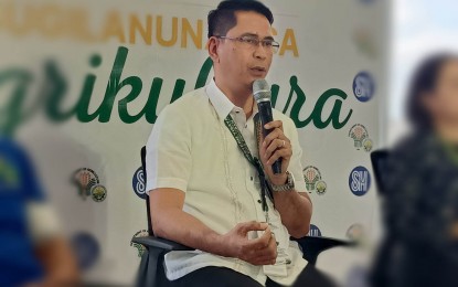 PCIC insurance covers 58K swine in W. Visayas