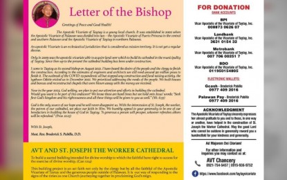 Palawan bishop appeals for donations for cathedral construction