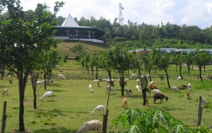 <p><strong>TOURIST ATTRACTION</strong>. The Garin Farm in the municipality of San Joaquin is one of the Department of Tourism (DOT)-accredited farm destinations in Iloilo province. Iloilo provincial tourism officer Gilbert Marin said on Monday (July 3, 2023) they are campaigning for more farm resorts and farm stays to be accredited by the DOT. <em>(PNA file photo by PGLena)</em></p>