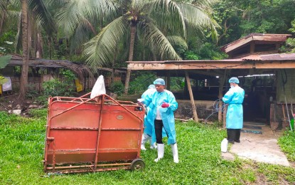 <p><strong>ASSISTANCE</strong>. Personnel of the Antique Provincial Veterinary (ProVet) Office conducts a depopulation at the University of Antique Hamtic campus which has recorded confirmed cases of African swine fever (ASF) on June 22. Dr. Marco Rafael Ardamil said in an interview Wednesday (July 5, 2023) that ProVet is ready to assist other local government units (LGUs) with suspected ASF cases. (<em>PNA photo courtesy of Antique ProVet</em>)</p>