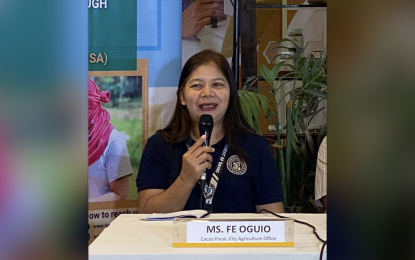 <p><strong>EXPANSION AREA</strong>. Fe Oguio, Davao City Agriculturist Office (CAgro) cacao focal person, bares in a press briefing Wednesday (July 5, 2023) that some 8,000 hectares of land in the city’s Paquibato and Marilog districts are available for cacao expansion to address low production. She points out that Davao Region produces 80 percent of the country’s 12,000 metric tons of cacao beans annually. <em>(PNA photo by Che Palicte)</em></p>