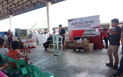 <p><strong>BOOSTING PRODUCTIVITY</strong>. Farmers get more than PHP4 million worth of agricultural inputs to boost their productivity, during a distribution event in Laoag, Ilocos Norte on Thursday (July 6, 2023). A soil restoration program is also ongoing for the farmers. <em>(PNA photo by Leilanie Adriano)</em></p>