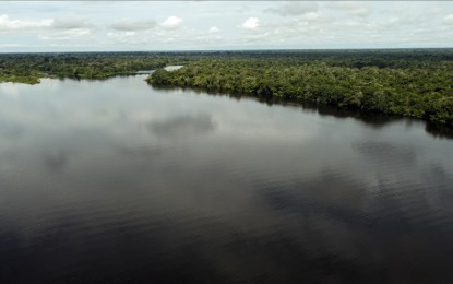 <p>The Amazon<em> (Photo from Anadolu) </em></p>