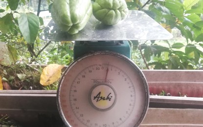 Defective weighing scales seized in Baguio markets