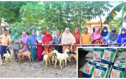 <p><strong>BARMM AGRI-SUPPORT.</strong> The BARMM Ministry of Agriculture, Fisheries and Agrarian Reform (MAFAR) extended Monday (July 10, 2023) agricultural inputs to some 730 farmers and women groups in Maguindanao del Sur and Barangay Manarapan, Carmen, North Cotabato. The beneficiaries consisted of a women’s group in Carmen that received goats and free-range chicken for propagation, while the farmers in Datu Odin Sinsuat, Maguindanao del Norte, received (inset) agricultural products and fertilizers. <em>(Photo courtesy of MAFAR)</em></p>