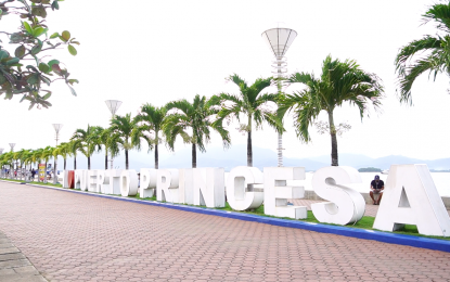 Puerto Princesa gears up to save 4 bays