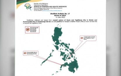 Red tide alert up in parts of Bohol, Zambo Sur