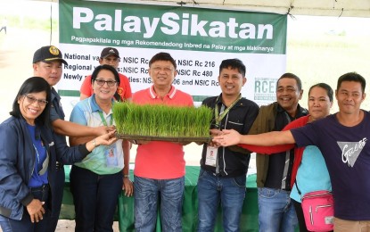 <p><strong>RICE FARMING TECHNOLOGY.</strong> Sagay City Mayor Narciso Javelosa Jr. (center) joins the PalaySikatan farm mechanization demonstration activity of the Department of Agriculture-Philippine Rice Research Institute in Barangay Rizal on July 11, 2023. The project features the utilization of modern inbred rice varieties along with integrated crop management practices and technologies to help increase farmers’ yield and reduce production costs. <em>(Photo courtesy of Sagay City Information and Tourism Office)</em></p>