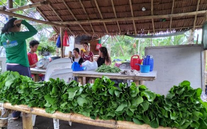 <p><strong>ENTERPRISING.</strong> A farmer's group in Alangalang, Leyte with their produce. The group has been listed for marketing and enterprise development aid that will boost production of farmers’ vegetable produce. <em>(Photo courtesy of Alangalang Agri-Ventures Farmers Cooperative)</em></p>