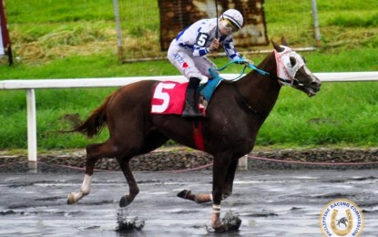 <p><strong>WINNER.</strong> Jaguar, ridden by Jeffril Zarate, rules the third leg of the PHP3.5-million Philracom Triple Crown Series at Metro Manila Turf Club in Malvar, Batangas on Sunday (July 16, 2023). The chestnut colt bagged PHP2.1 million. <em>(Philracom photo)</em></p>