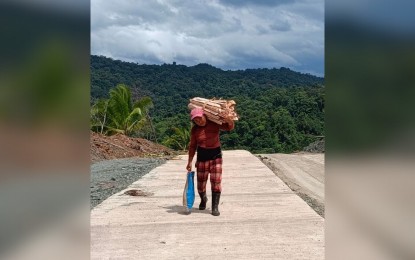 <p><strong>PAVED ROAD.</strong> A farmer in del Pilar village in Maydolong, Eastern Samar walks on a newly-paved road designed to link Tacloban City to Borongan City through a shorter route in this undated photo. The ongoing construction of Maydolong-Basey Road has been benefitting upland communities in Eastern Samar. <em>(PNA photo by Roel Amazona)</em></p>