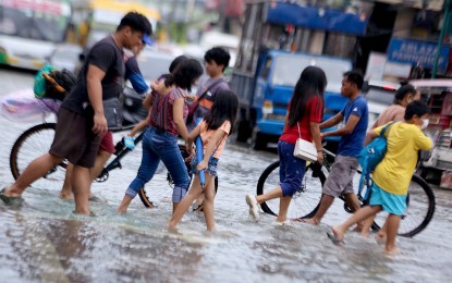 DOH warns public anew about dangers of leptospirosis