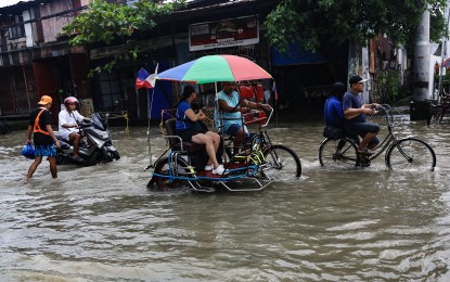 Leptospirosis must be addressed aggressively – lawmaker