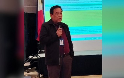 <p>Bureau of Local Government Finance (BLGF) Eastern Visayas regional director Gerardo Avorque. <em>(Photo by BLGF)</em></p>