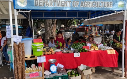 <p><strong>FUTURE OUTLOOK</strong>. The Negros Oriental Chamber of Commerce and Industry (NOCCI) is hopeful of a further boom in the economy under the leadership of President Ferdinand R. Marcos Jr. The business group is pushing for micro, small and medium entrepreneurs, such as this one taken during the Kadiwa sa Pangulo on July 17, 2023, to benefit from the administration's business policies and programs.<em> (PNA photo by Judy Flores Partlow)</em></p>